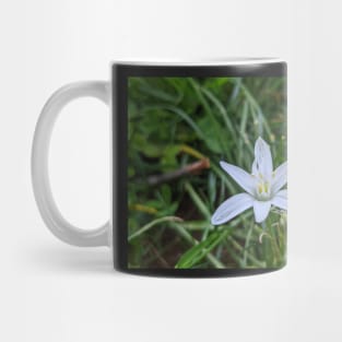 Star of Bethlehem 2 Mug